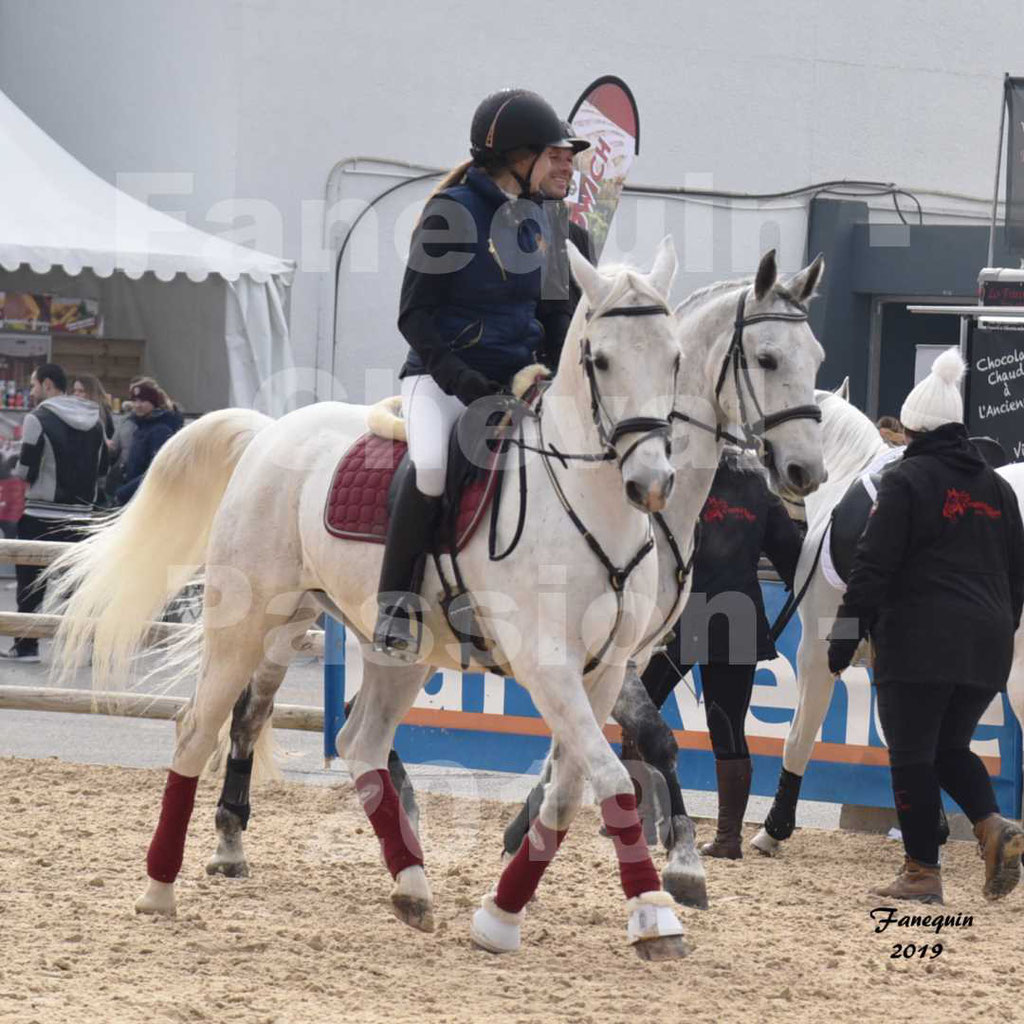 Cheval Passion 2019 - Chevaux LIPIZZAN dehors montés - 08