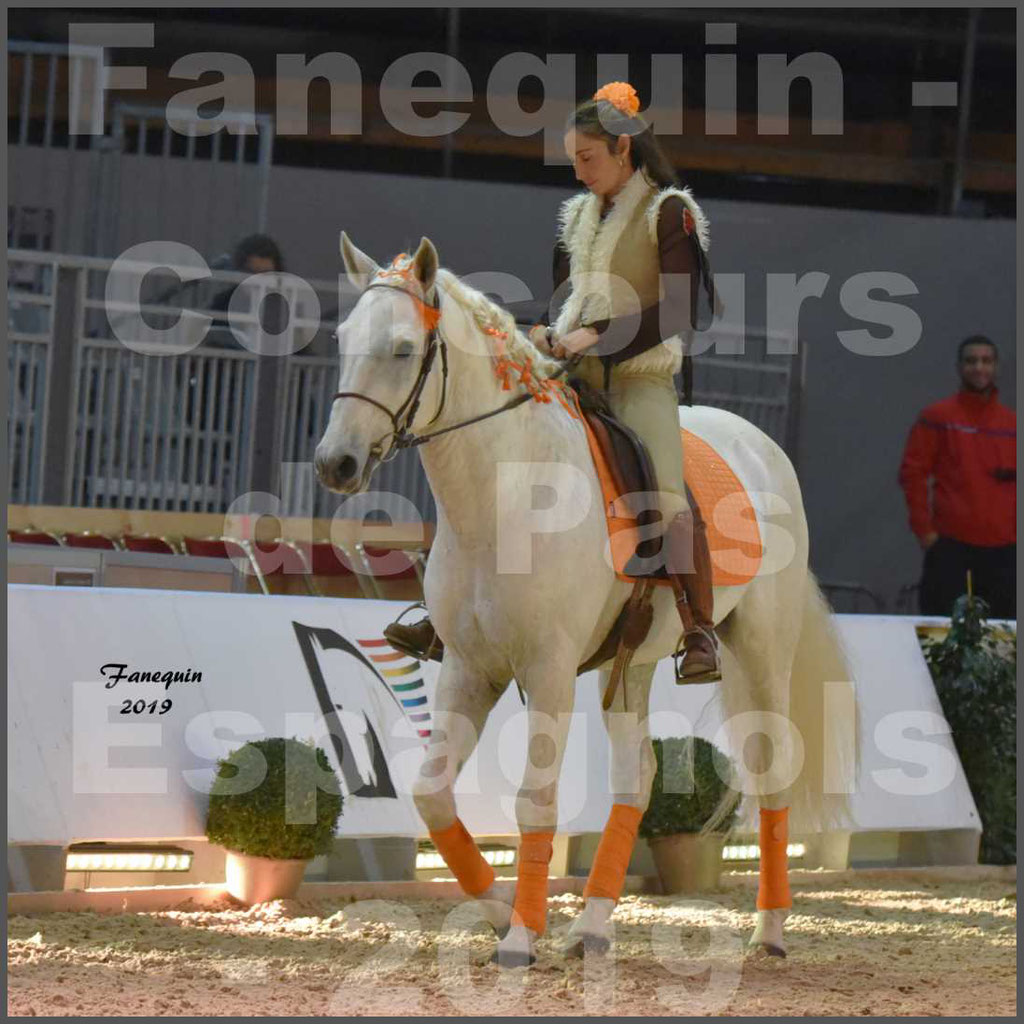 Cheval Passion 2019 - Concours de Pas Espagnol - Étalon "ZIDANE" - 01 