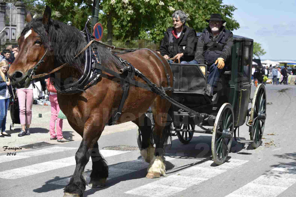 Défilé d'attelage à Villeneuve d'Aveyron le 15 Mai 2016 - Simple cheval lourd - 15