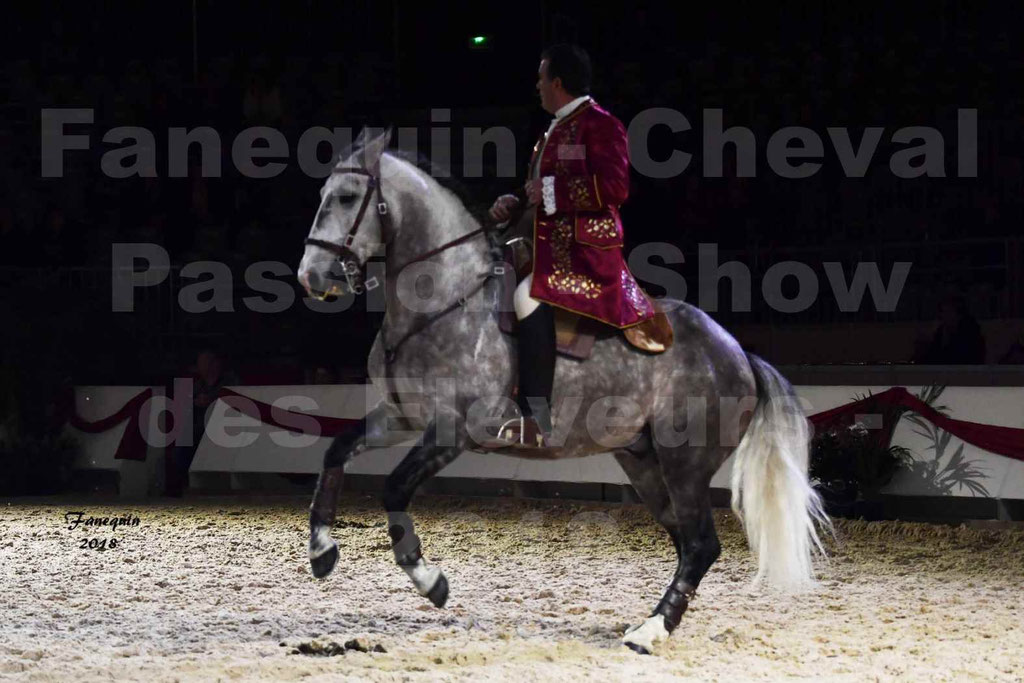 Cheval passion 2018 - Show des éleveurs - Chevaux LUSITANIEN - Tony MARTINS - Notre Sélection - 32