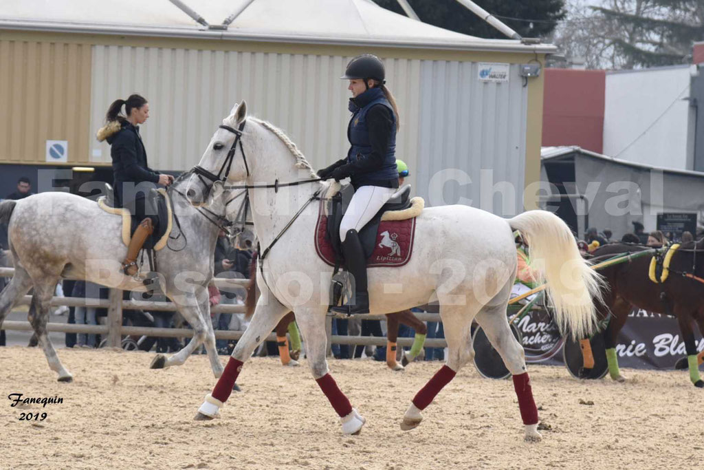 Cheval Passion 2019 - Chevaux LIPIZZAN dehors montés - 03