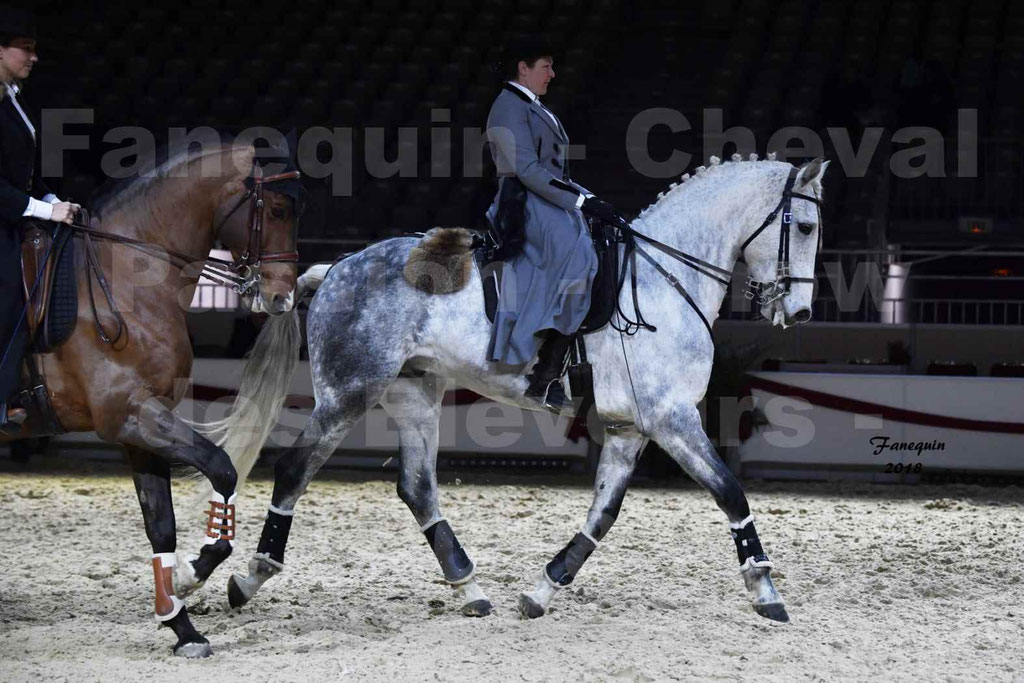 Cheval passion 2018 - Show des éleveurs - Chevaux LUSITANIEN - Institut Français des Arts Équestres - Notre Sélection - 02