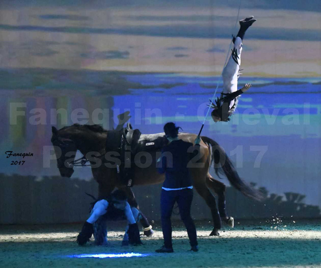 Cheval Passion 2017 - spectacle "générale" des Crinières d'OR - Equipe de France de Voltige - mercredi 18 janvier 2017