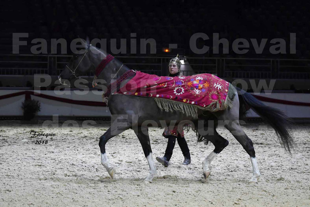 Cheval passion 2018 - Show des éleveurs - AKHAL TEKE - Notre Sélection - 2