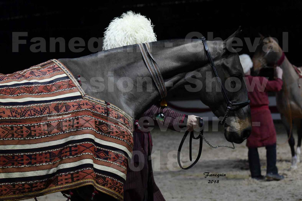 Cheval passion 2018 - Show des éleveurs - AKHAL TEKE - Notre Sélection - Portraits - 1