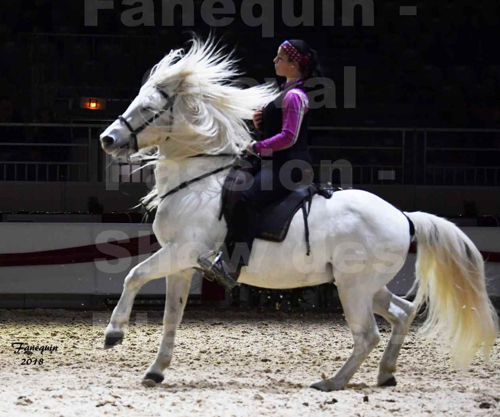 Cheval passion 2018 - Show des éleveurs - Chevaux CAMARGUE - Notre Sélection - 10
