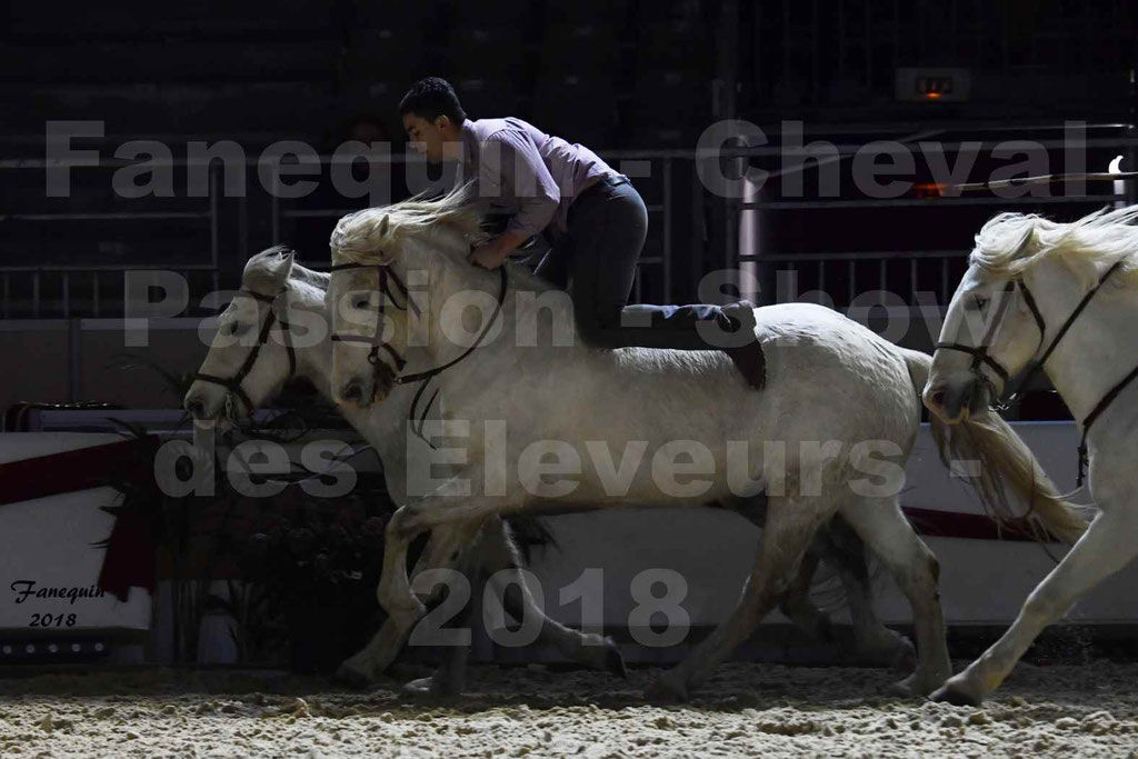 Cheval passion 2018 - Show des éleveurs - Chevaux CAMARGUE - "artiste saut de cheval" - Notre Sélection - 5