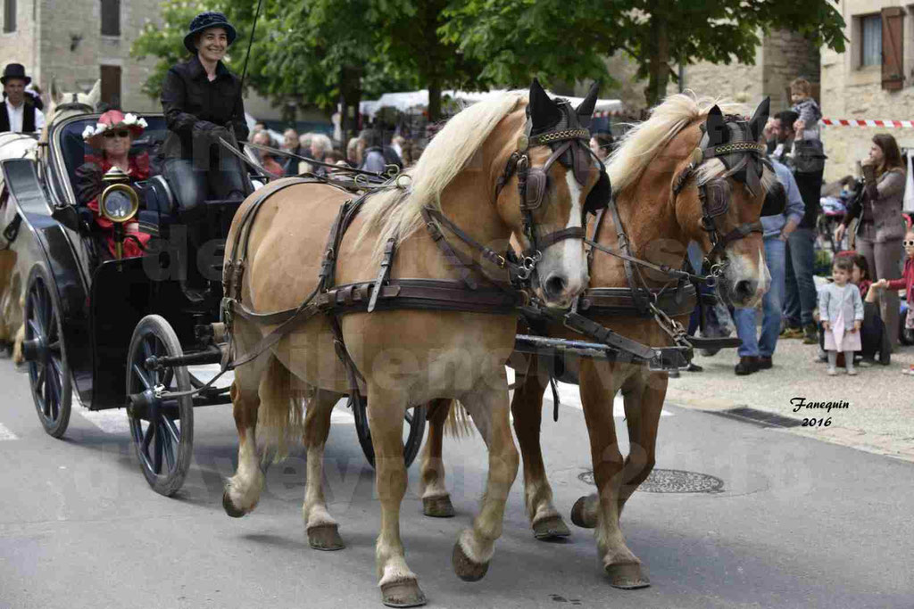 Défilé d'attelage à Villeneuve d'Aveyron le 15 Mai 2016 - Paire cheval lourd - 03