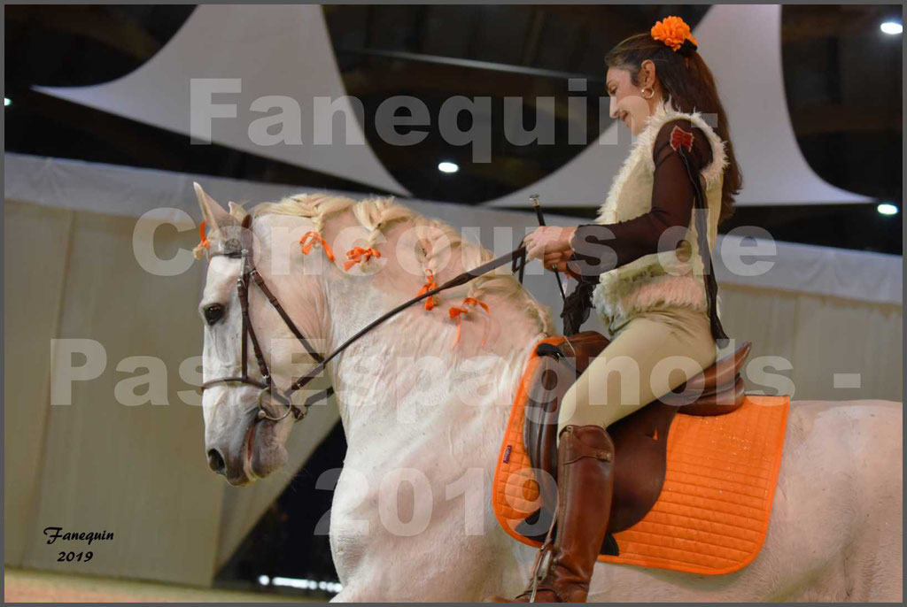 Cheval Passion 2019 - Concours de Pas Espagnol - Étalon "ZIDANE" - 31