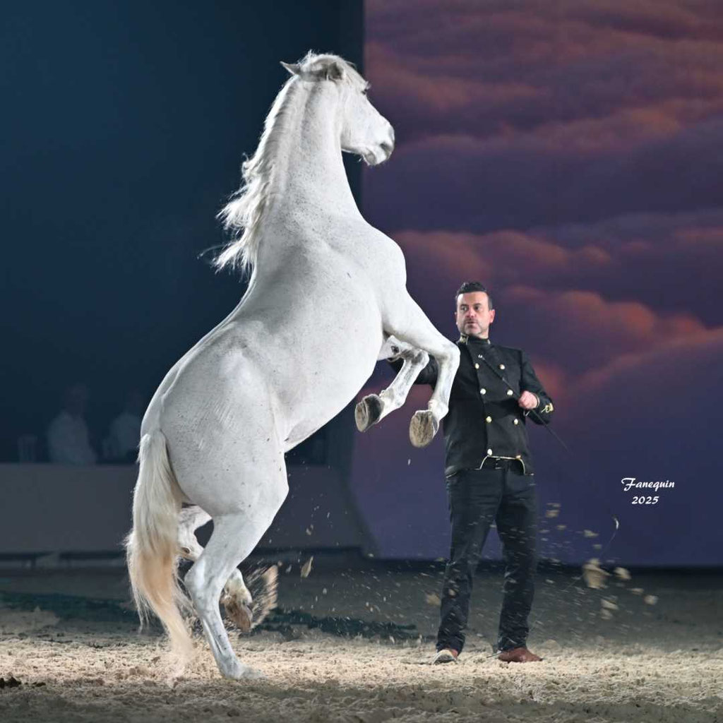 CHEVAL PASSION 2025 - Spectacle des Crinières d'OR - Vincent LIBERATOR