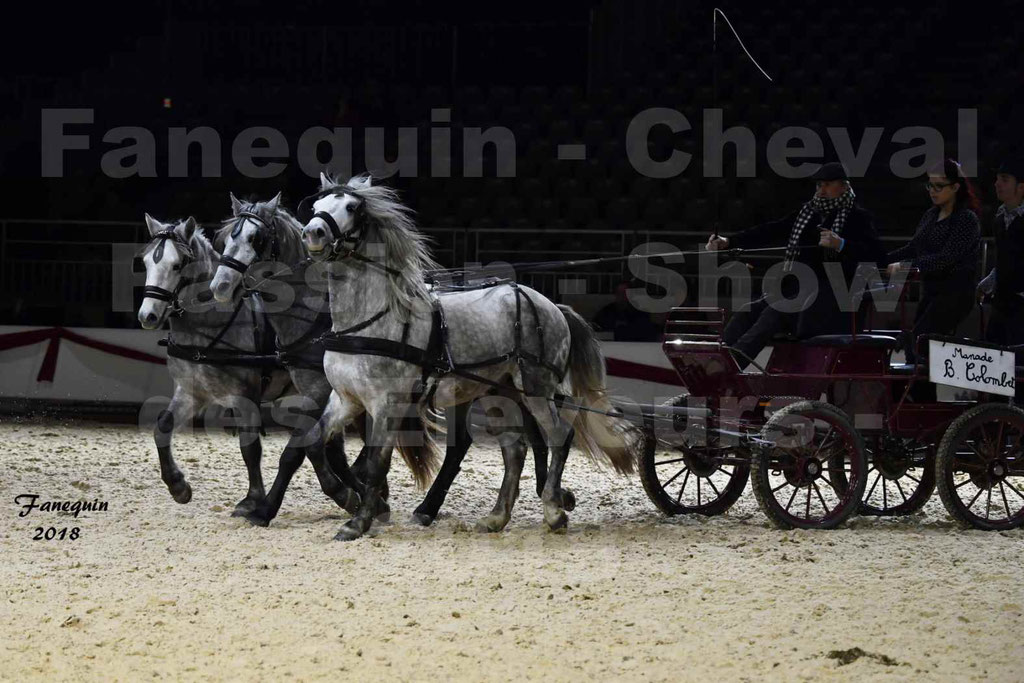 Cheval passion 2018 - Show des éleveurs - Chevaux CAMARGUE - "attelage d’évêque" - Notre Sélection - 2