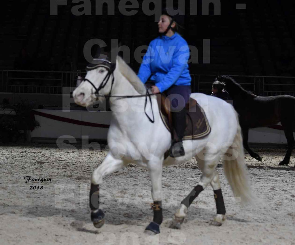 Cheval passion 2018 - Show des éleveurs - Poneys CONNEMARA - Notre Sélection - 2