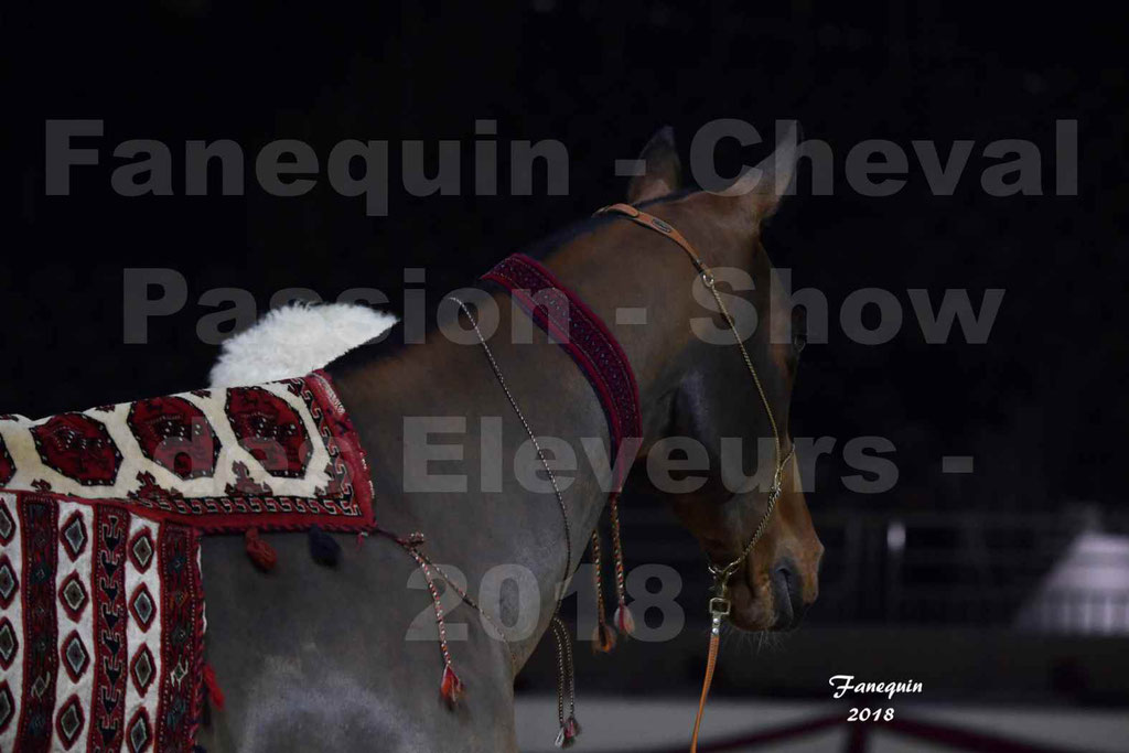 Cheval passion 2018 - Show des éleveurs - AKHAL TEKE - Notre Sélection - Portraits - 5