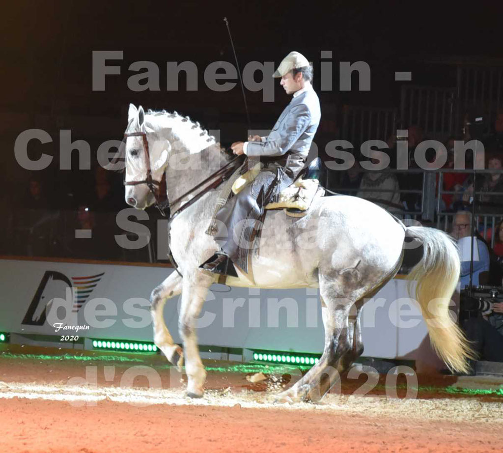 Cheval Passion 2020 - Les Crinières d'OR - RAPHAËL ARCOS - 29