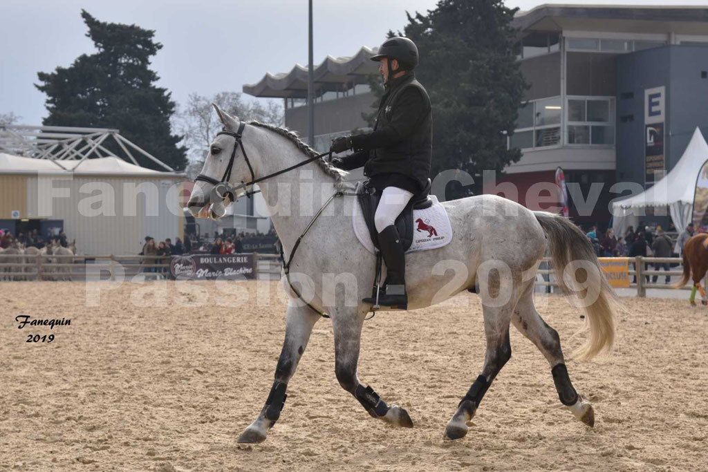 Cheval Passion 2019 - Chevaux LIPIZZAN dehors montés - 20