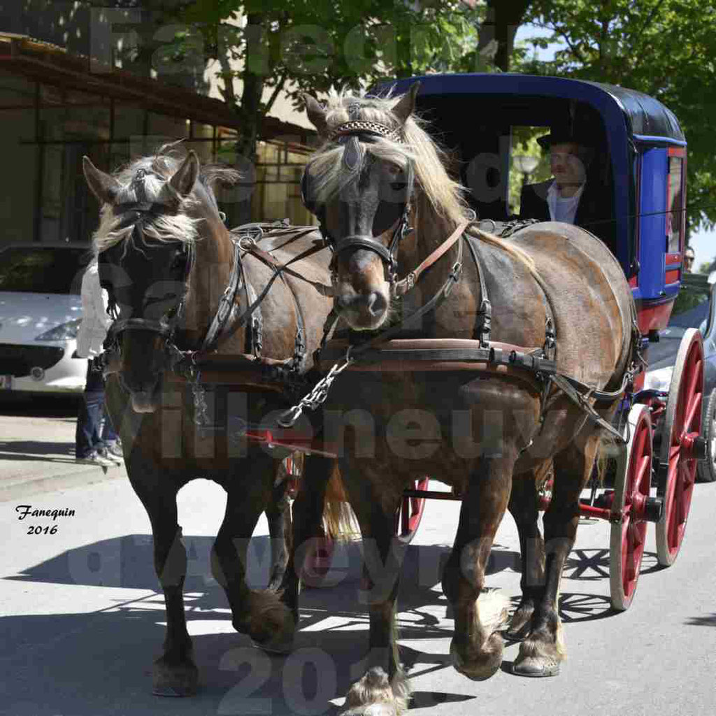 Défilé d'attelage à Villeneuve d'Aveyron le 15 Mai 2016 - Paire chevaux lourd - 21