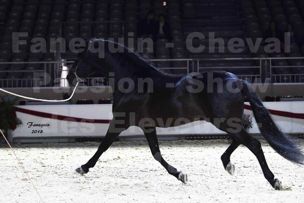 Cheval passion 2018 - Show des éleveurs - Chevaux ESPAGNOL - Notre Sélection - 11