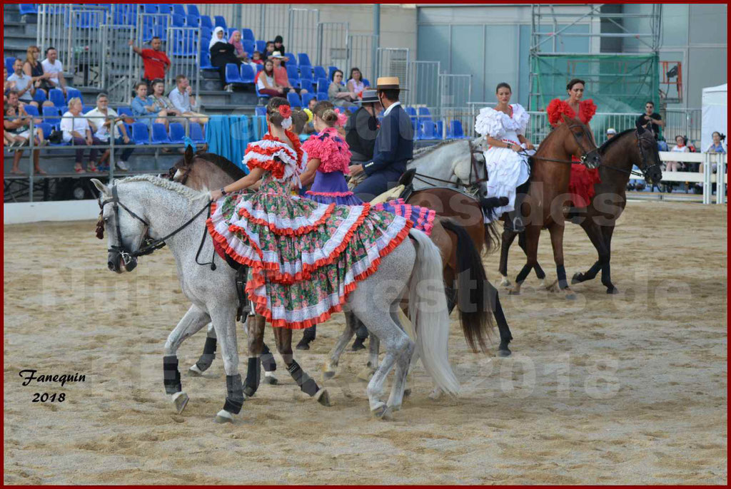 Spectacle en Journée des "Nuits Equestres" lors de la Féria de BEZIERS 2018 - 3