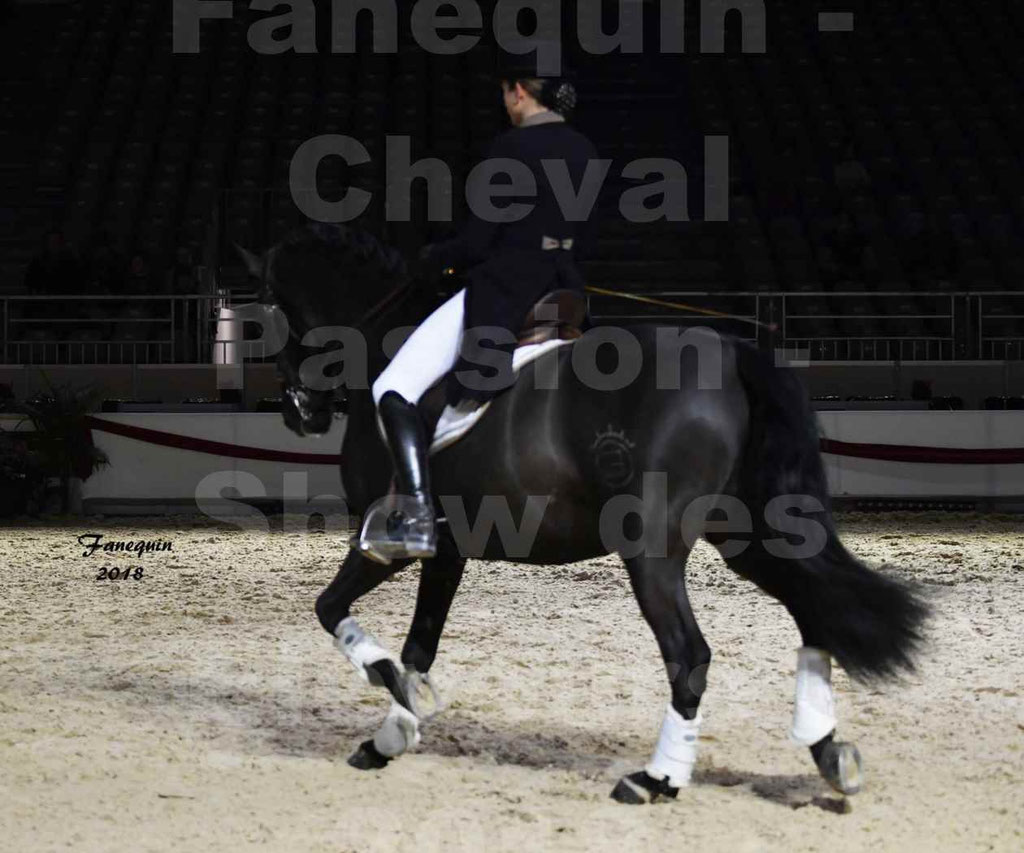 Cheval passion 2018 - Show des éleveurs - Chevaux ESPAGNOL - Notre Sélection 2 - 17