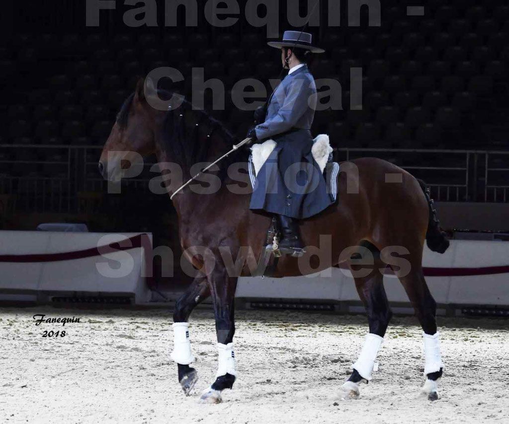 Cheval passion 2018 - Show des éleveurs - Chevaux ESPAGNOL - Notre Sélection - 01