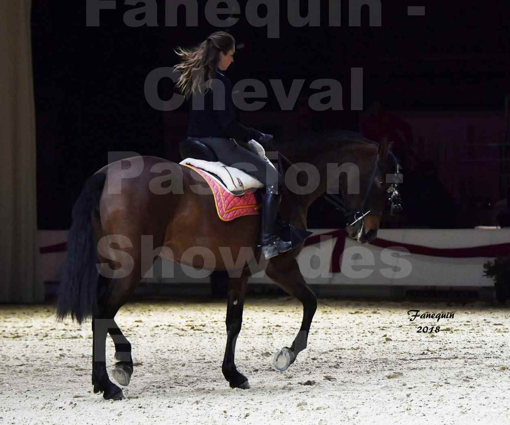 Cheval passion 2018 - Show des éleveurs - Chevaux ESPAGNOL - Notre Sélection - 10