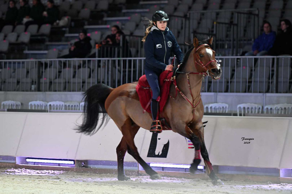 Cheval passion 2025 - Show d'Elevages - Chevaux ARABES d'Endurance