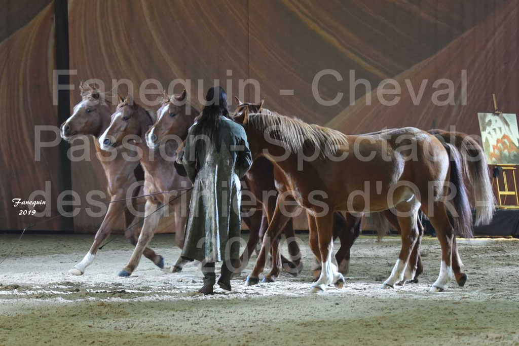 Cheval Passion 2019 - Spectacle Les CRINIÈRES d'OR - Frédéric PIGNON & chevaux Arabes alezan en liberté