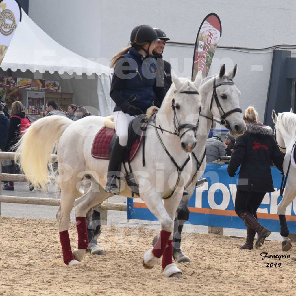 Cheval Passion 2019 - Chevaux LIPIZZAN dehors montés - 07