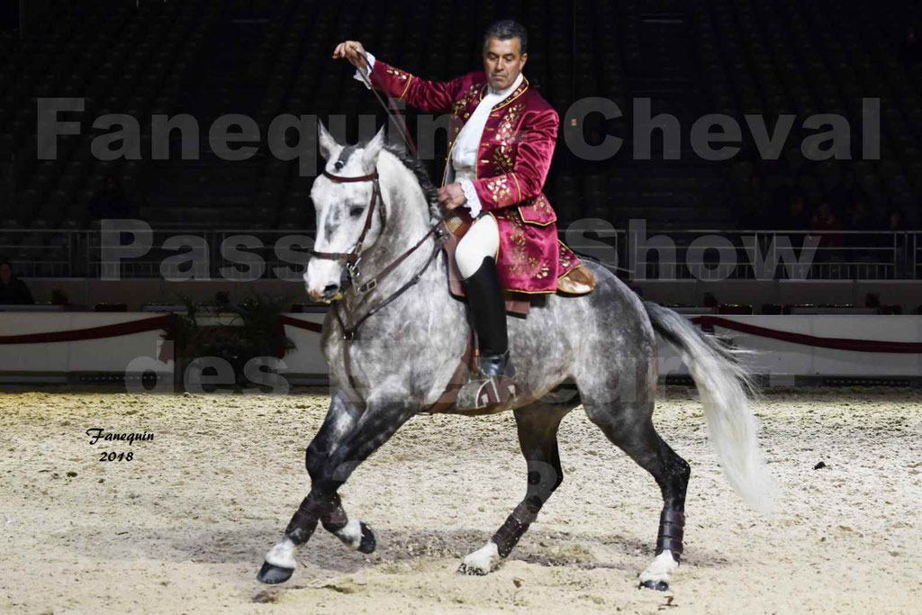 Cheval passion 2018 - Show des éleveurs - Chevaux LUSITANIEN - Tony MARTINS - Notre Sélection - 12