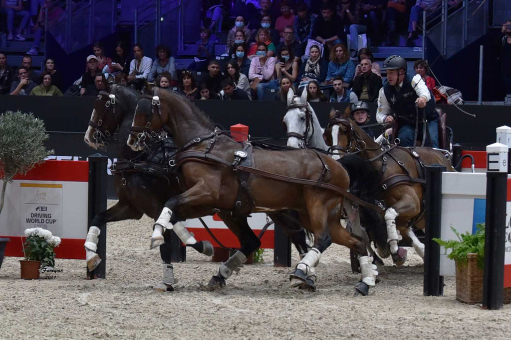 Salon du cheval de Lyon "EQUITA-LYON" 2021 - Concours international d'attelage à 4 chevaux - second le Belge Dries DEGRIECK