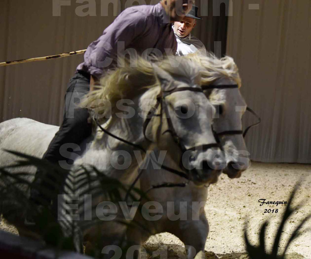 Cheval passion 2018 - Show des éleveurs - Chevaux CAMARGUE - "artiste saut de cheval" - Notre Sélection - 7