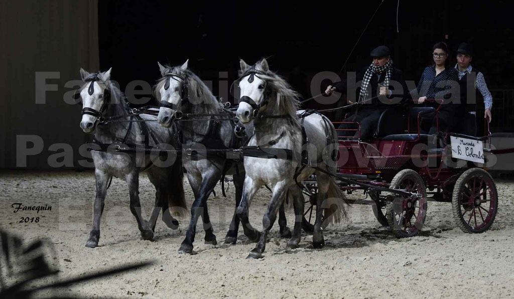 Cheval passion 2018 - Show des éleveurs - Chevaux CAMARGUE - "attelage d’évêque" - Notre Sélection - 4