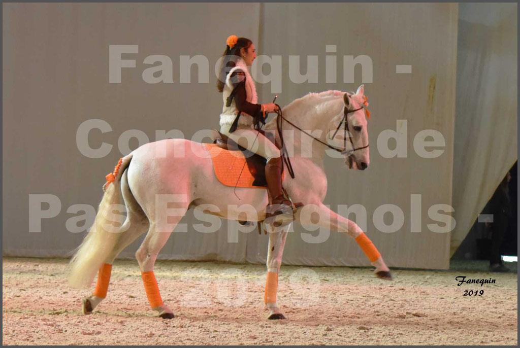 Cheval Passion 2019 - Concours de Pas Espagnol - Étalon "ZIDANE" - 40