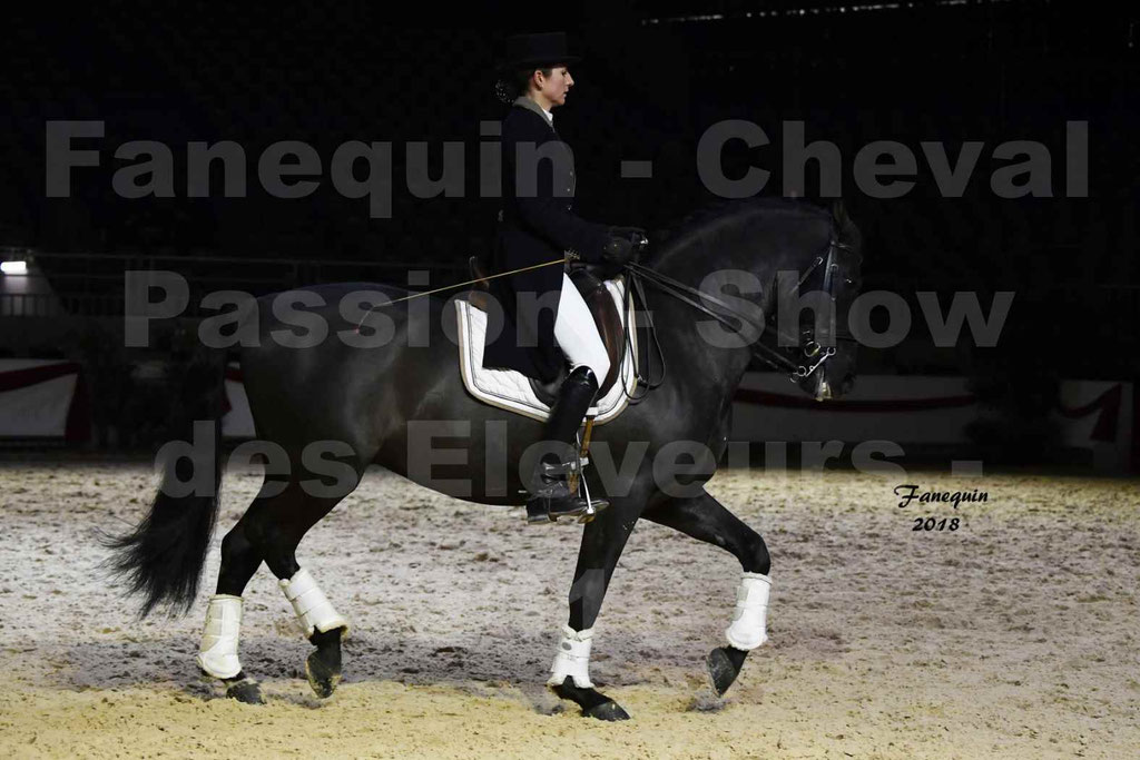 Cheval passion 2018 - Show des éleveurs - Chevaux ESPAGNOL - Notre Sélection 2 - 22