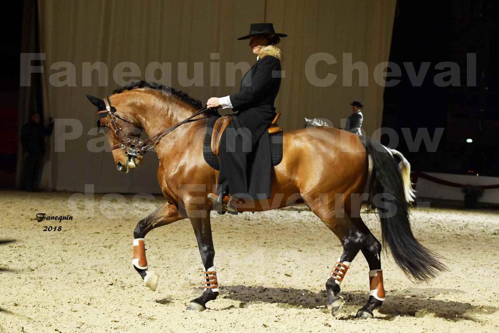 Cheval passion 2018 - Show des éleveurs - Chevaux LUSITANIEN - Institut Français des Arts Équestres - Notre Sélection - 45