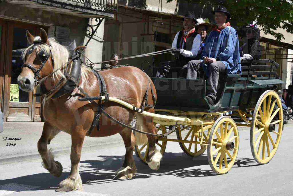 Défilé d'attelage à Villeneuve d'Aveyron le 15 Mai 2016 - Simple cheval lourd - 20
