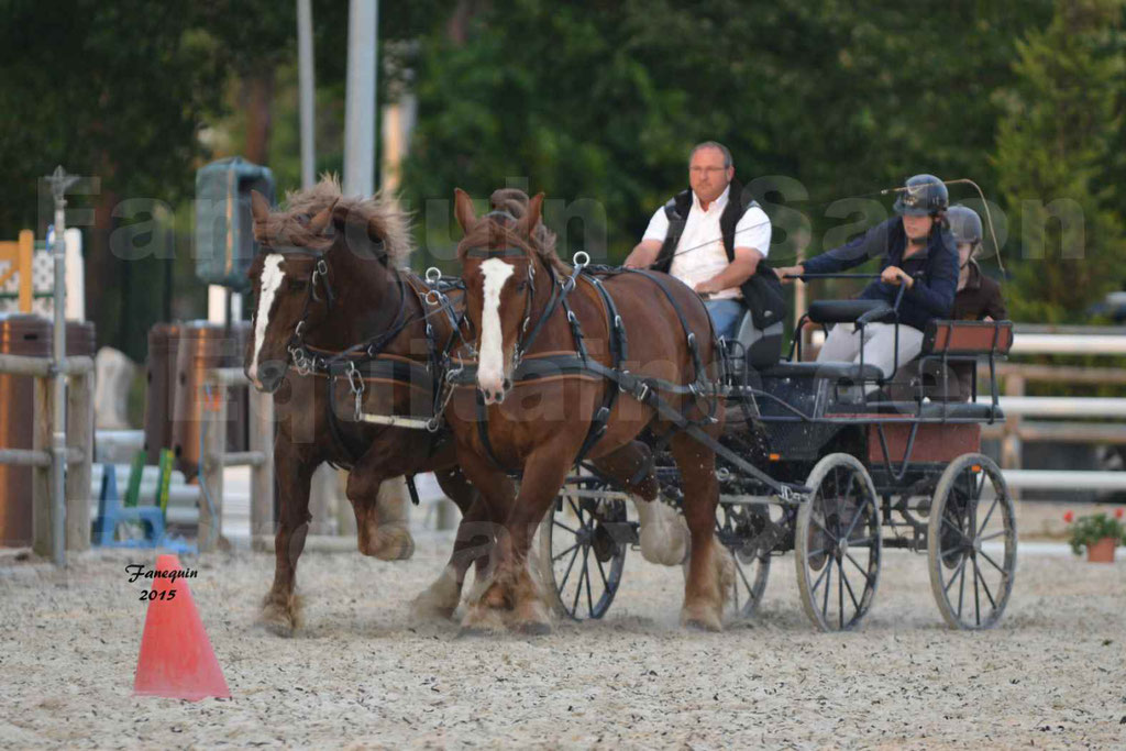 Salon Equitaine de Bordeaux 2015 - Démonstration d'attelage en paire chevaux de traits