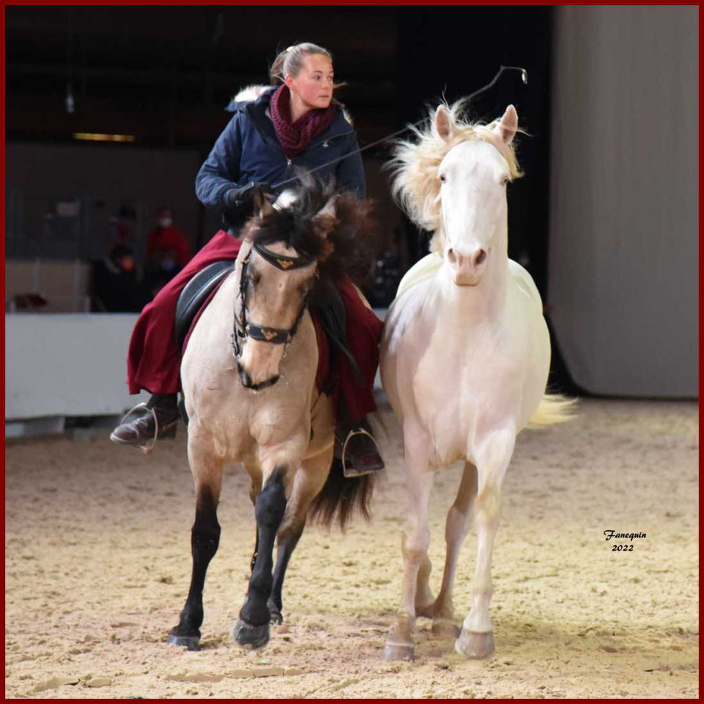 CHEVAL PASSION 2022 - Show des Races - Chevaux LUSITANIENS - Rébecca PEROUD