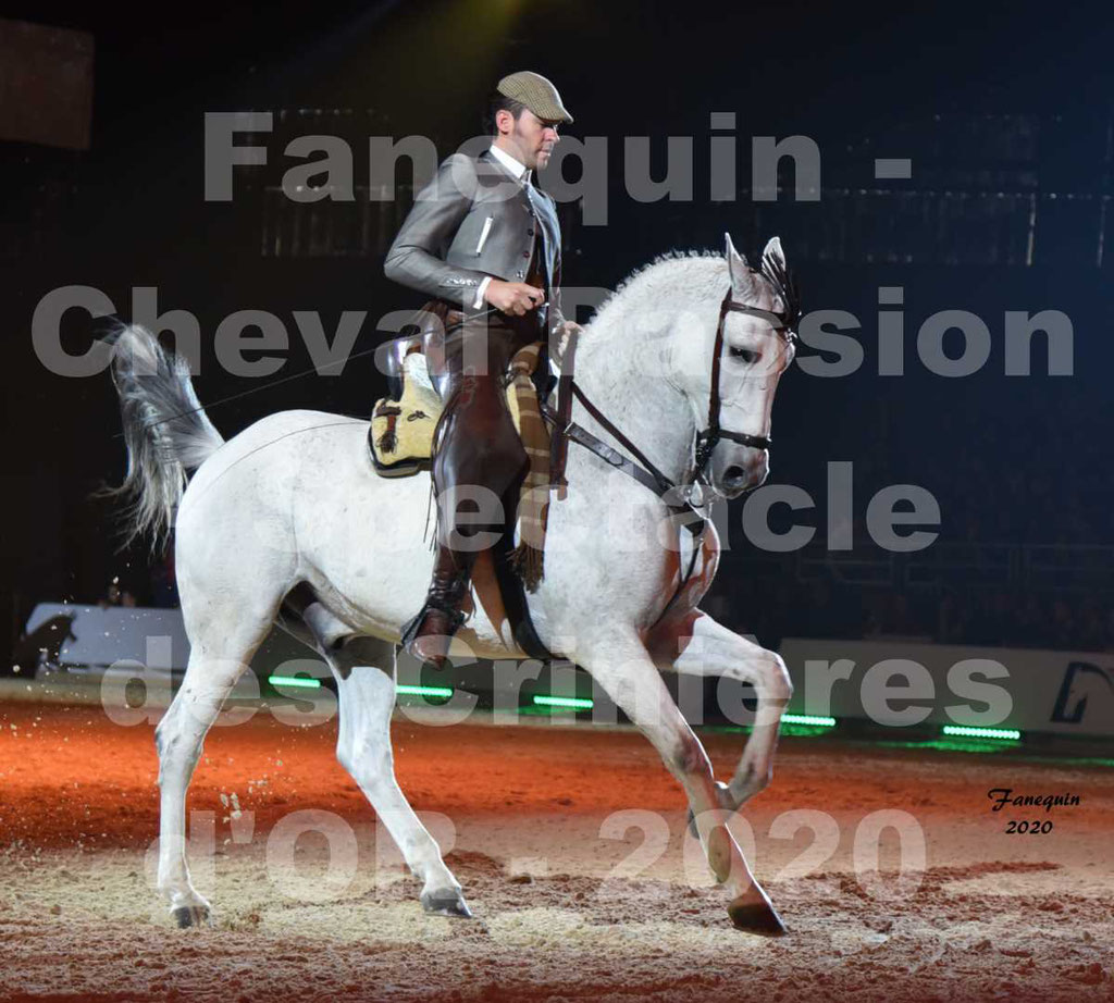 Cheval Passion 2020 - Les Crinières d'OR - RAPHAËL ARCOS - 46