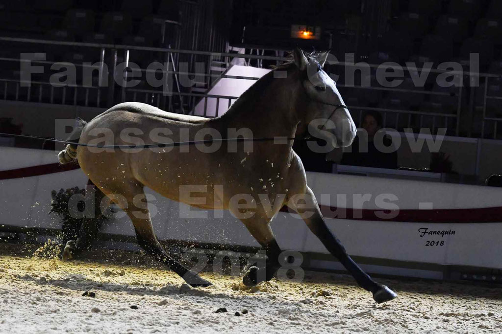Cheval passion 2018 - Show des éleveurs - Chevaux LUSITANIEN - Notre Sélection - 3