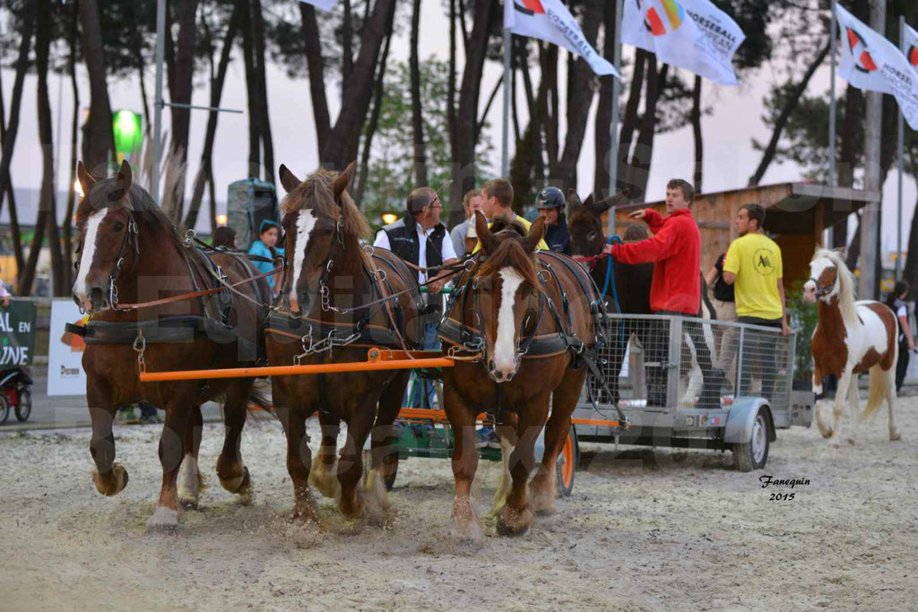 Salon Equitaine de Bordeaux 2015 - Démonstration attelage 3 chevaux de front