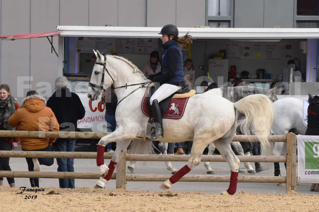 Cheval Passion 2019 - Chevaux LIPIZZAN dehors montés - 29