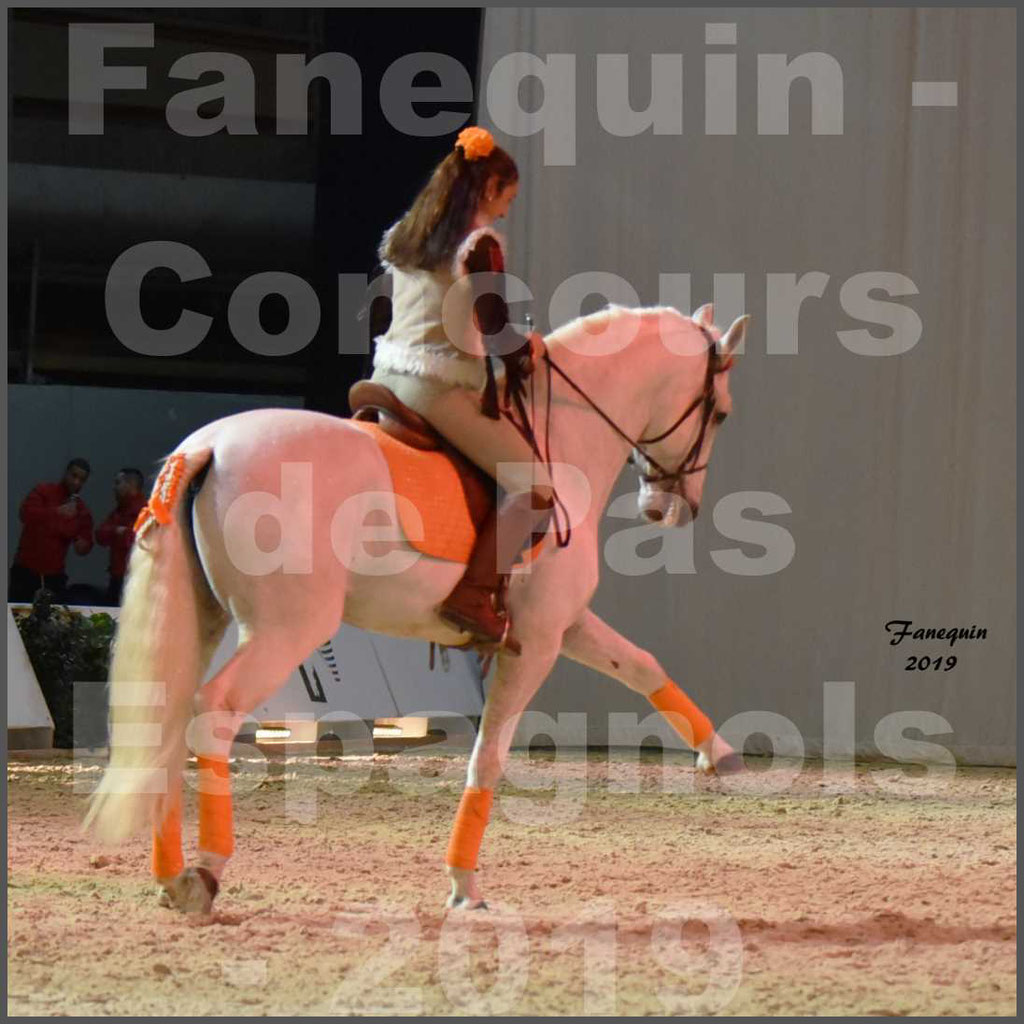 Cheval Passion 2019 - Concours de Pas Espagnol - Étalon "ZIDANE" - 36