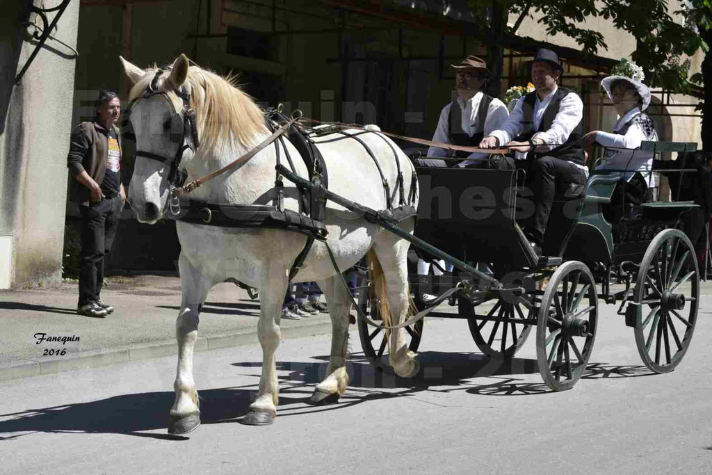 Défilé d'attelage à Villeneuve d'Aveyron le 15 Mai 2016 - Simple cheval lourd - 19
