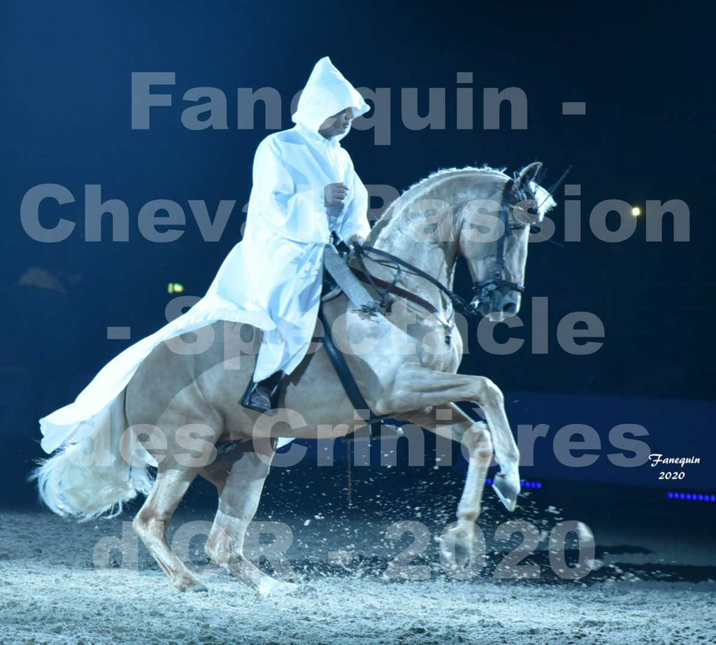 Cheval Passion 2020 - Les Crinières d'OR - RAPHAËL ARCOS - 13