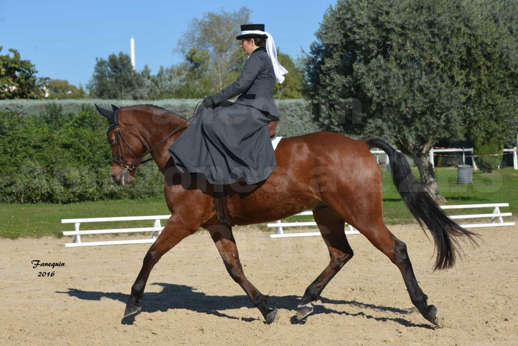 rencontres Amazones au Haras d'UZES 2016 - Véronique BOURGEON