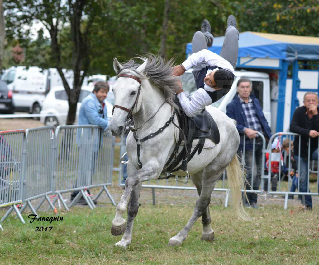 Spectacle équestre de la Fête du Cheval à GRAULHET le 17 Septembre 2017 - 3