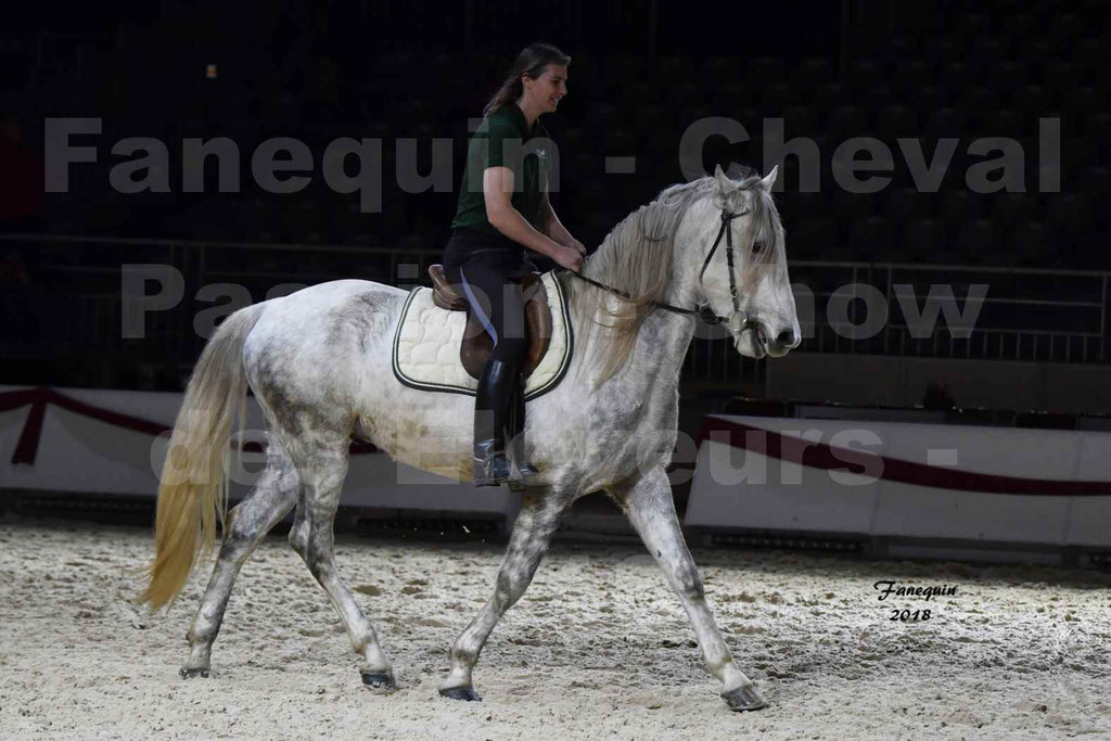 Cheval passion 2018 - Show des éleveurs - Chevaux BARBES - Notre Sélection - 01
