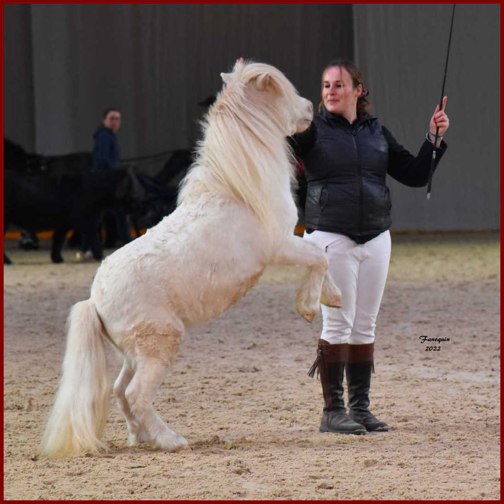 CHEVAL PASSION 2022 - Show des Races - Poneys SHETLAND