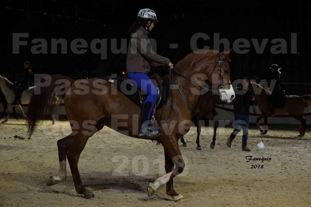 Cheval passion 2018 - Show des éleveurs - Chevaux ARABES - Notre Sélection - 34